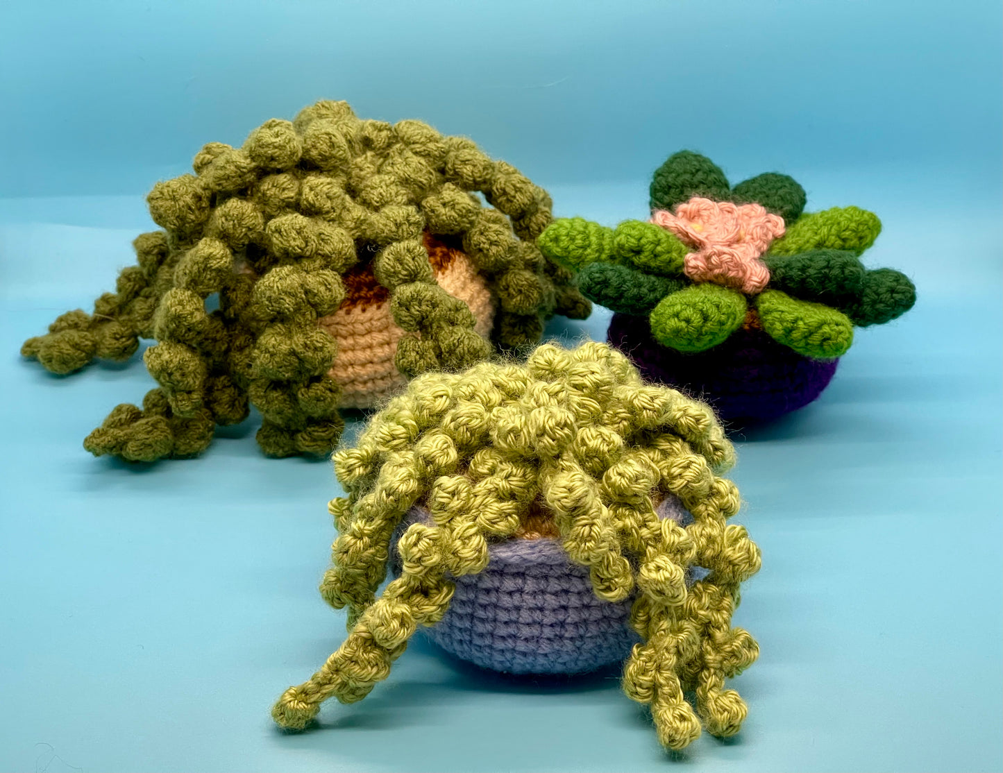 2. Succulent