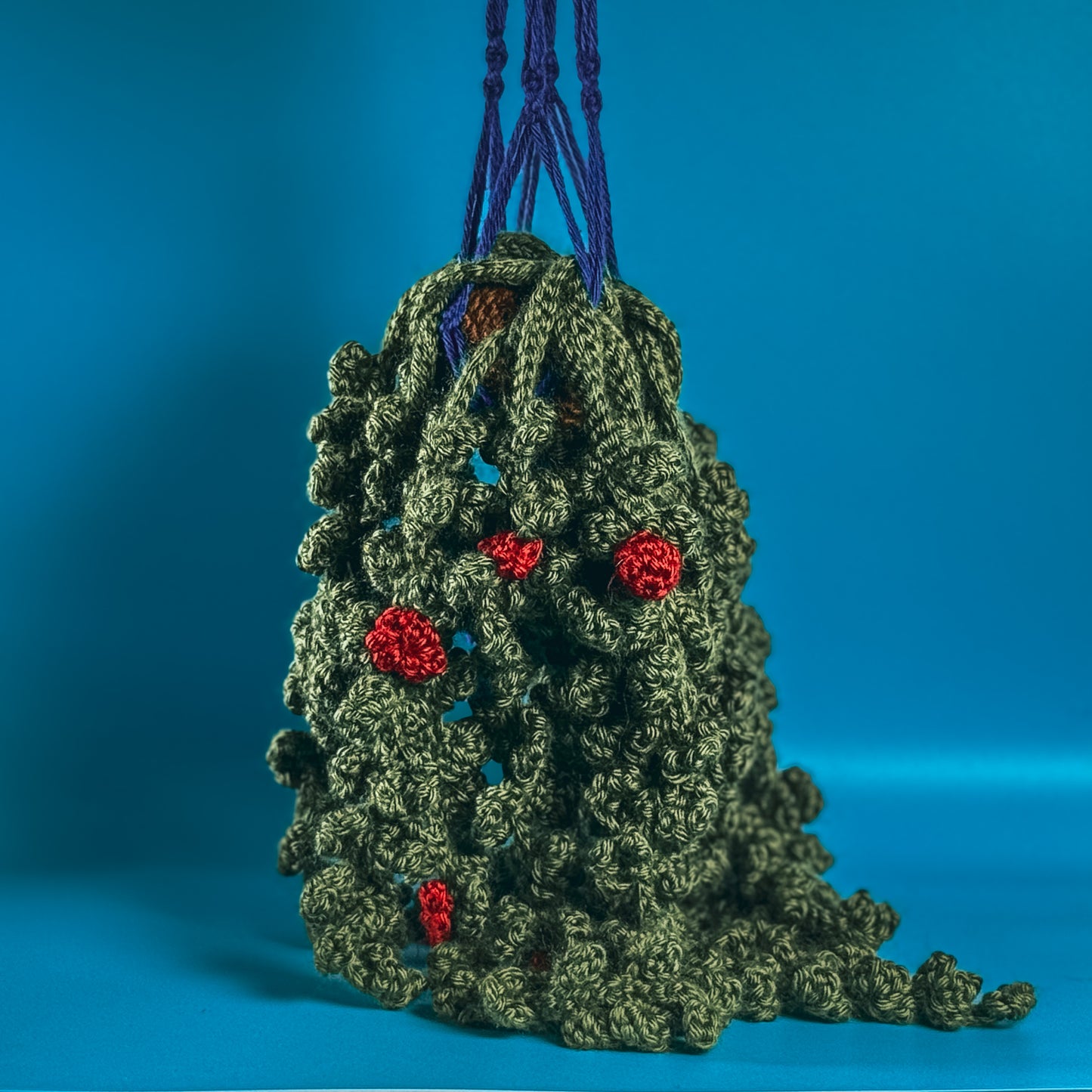 Hanging Plant - String of Pearls