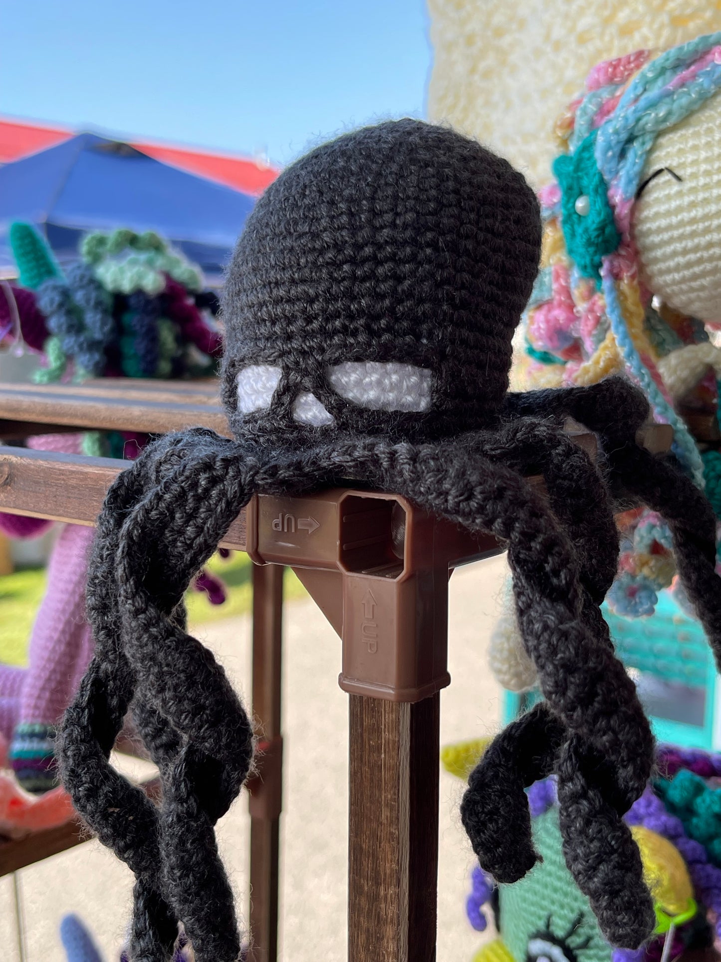 Octopus
