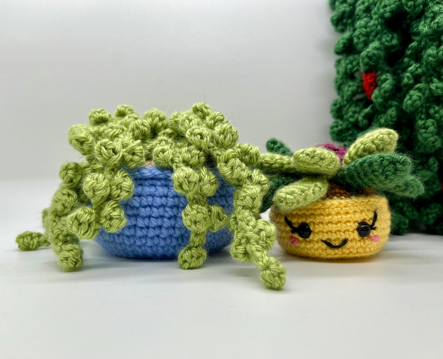 2. Succulent