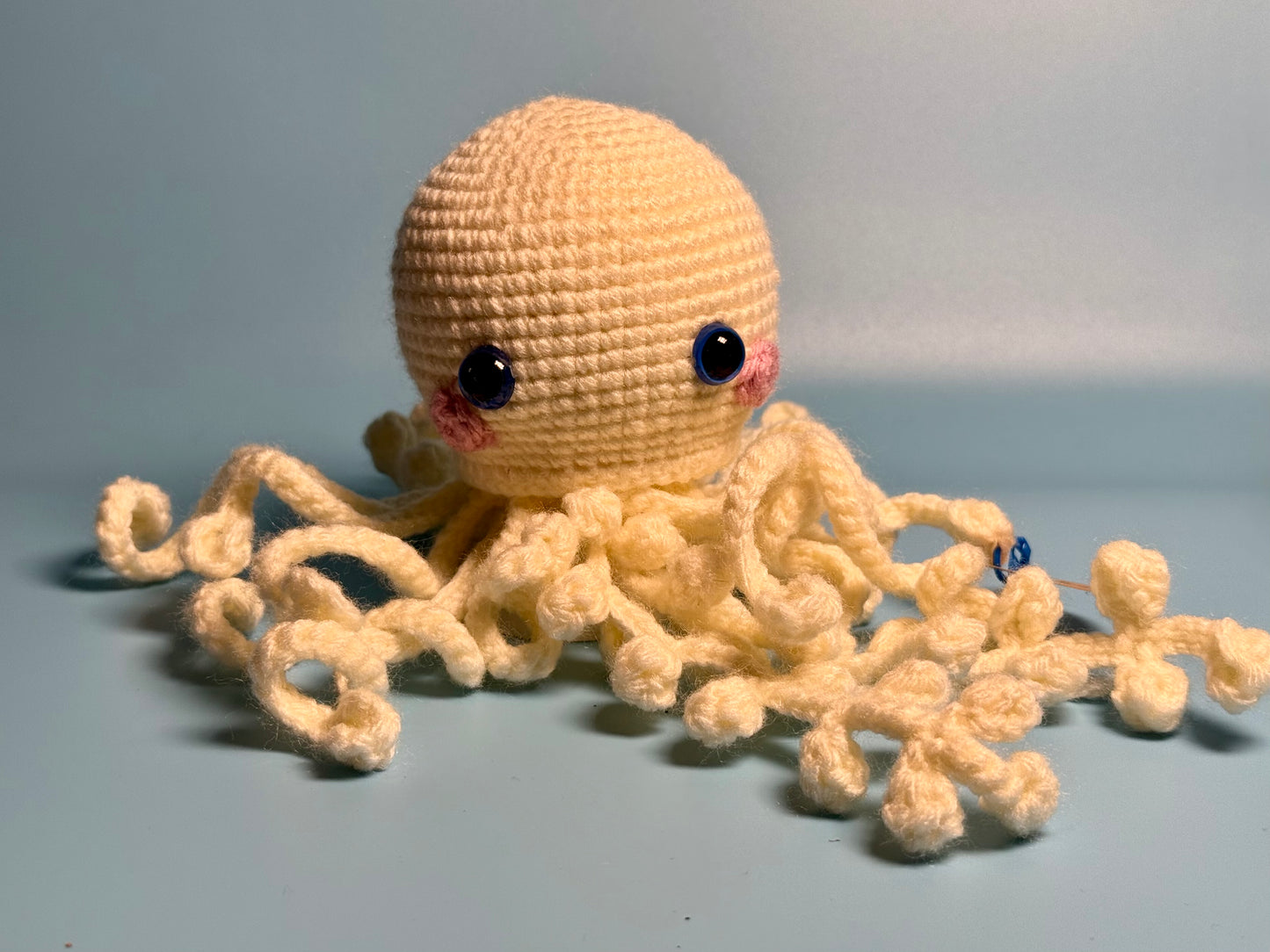 6. Jelly Fish