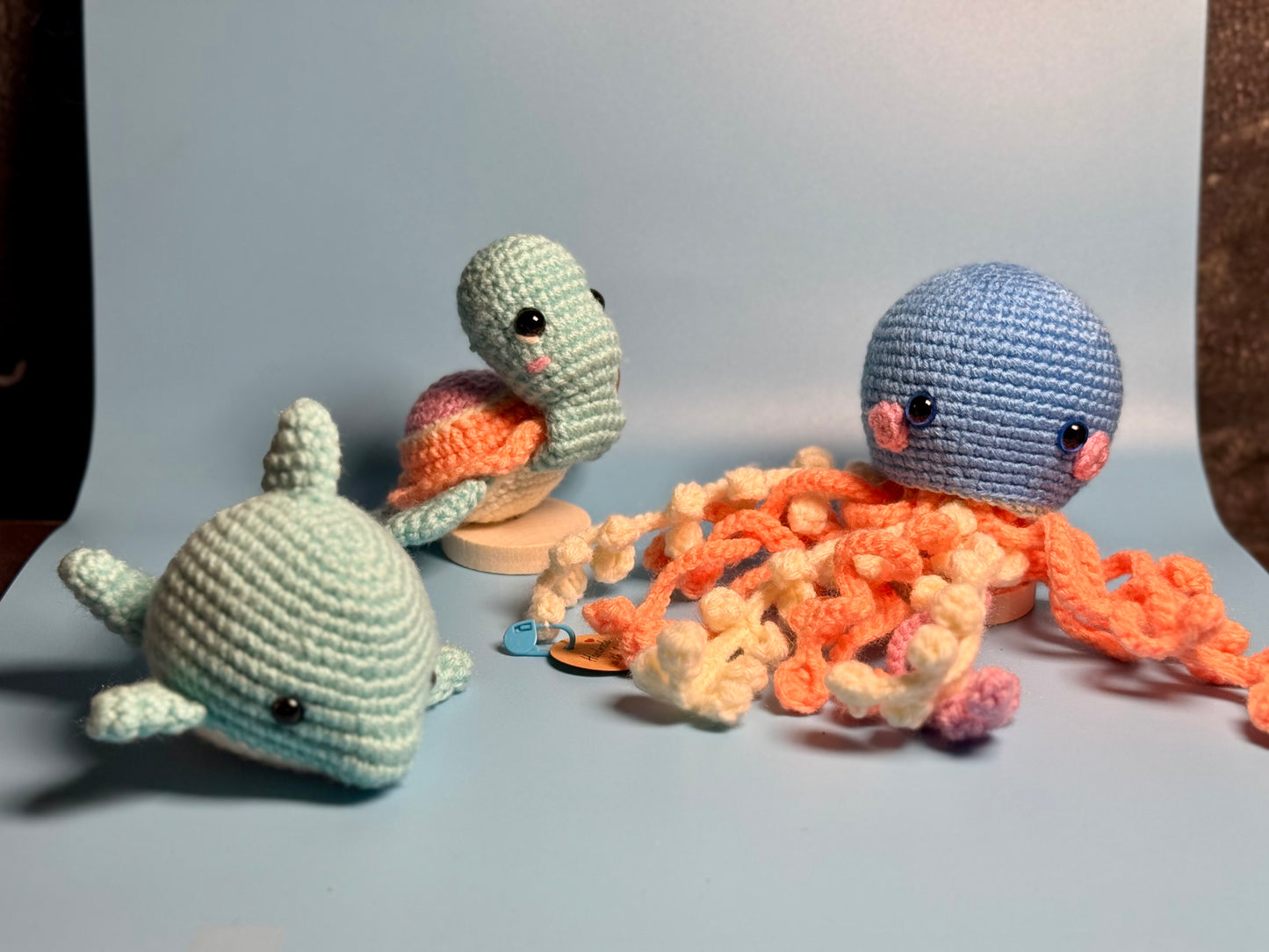6. Jelly Fish