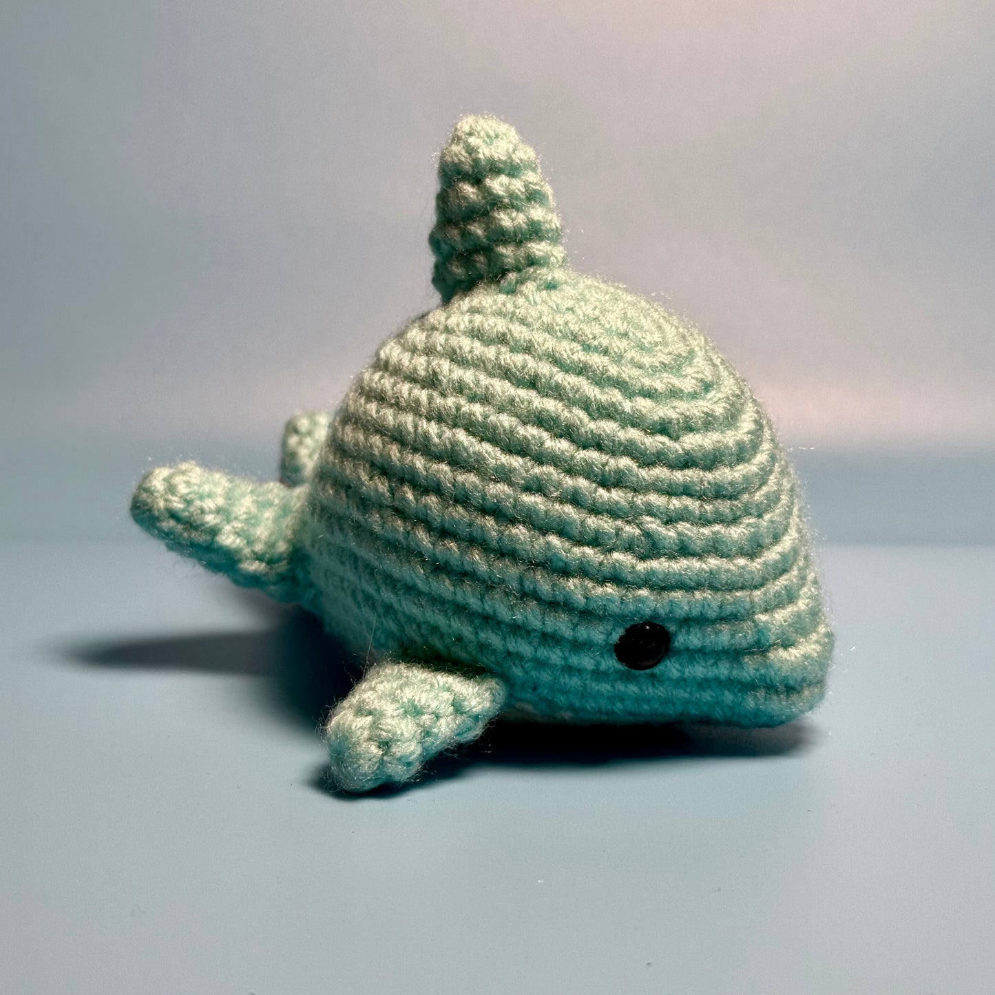 4. Dolphin