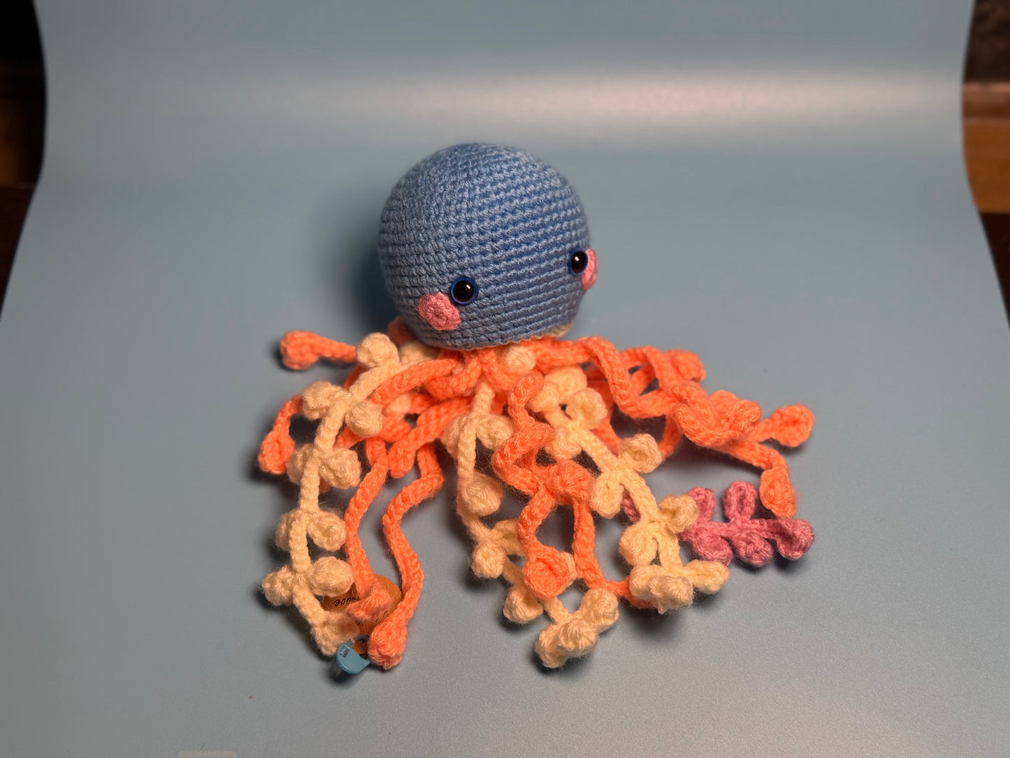 6. Jelly Fish