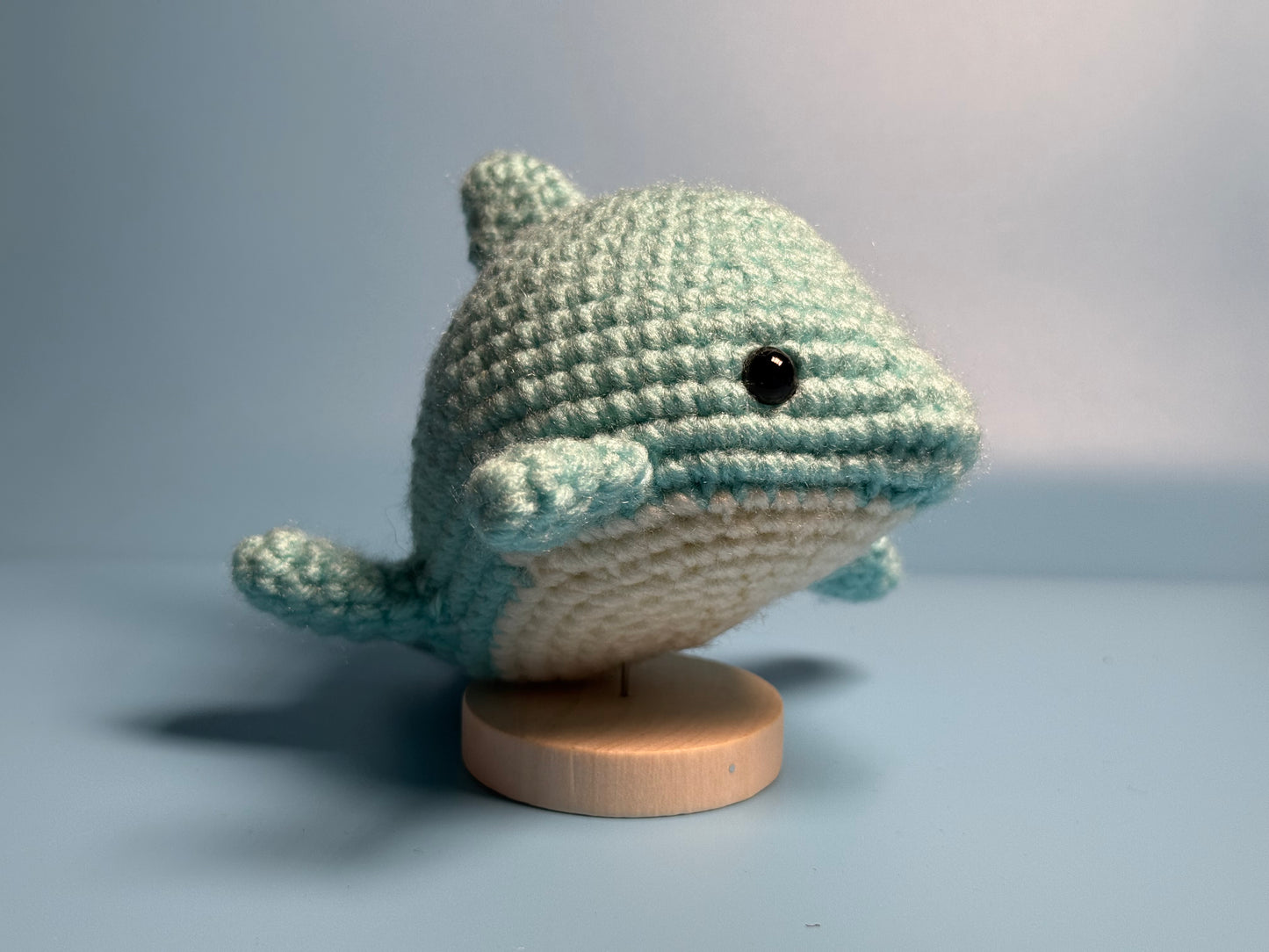 4. Dolphin