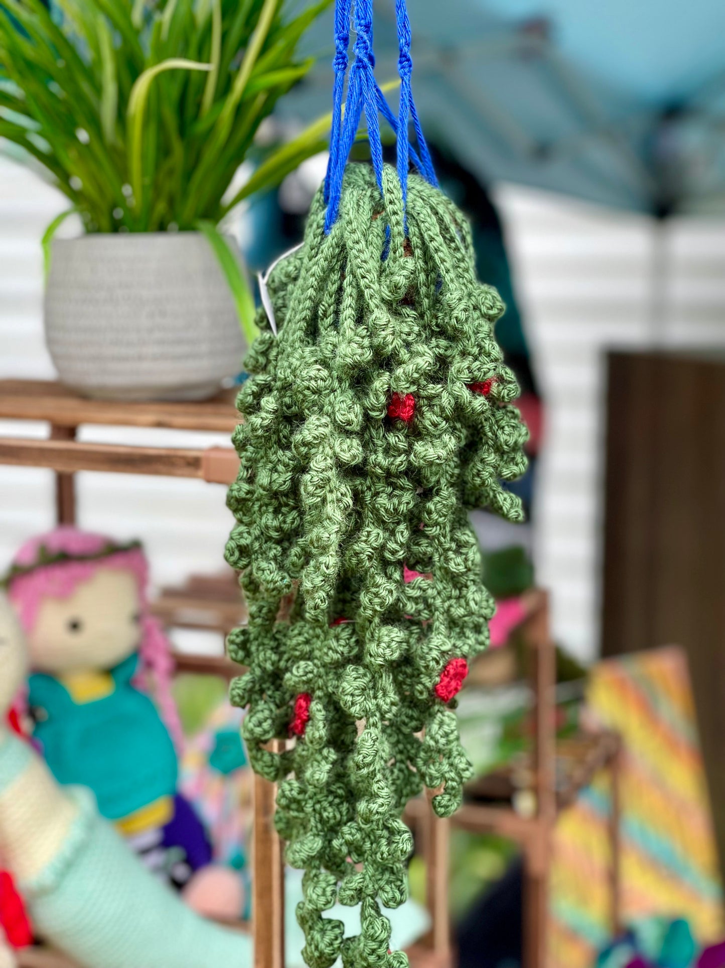 7. Hanging Plant - String of Pearls